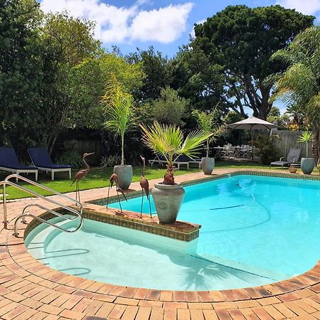 Wild Olive Guest House & Villa Cape Town Bagian luar foto