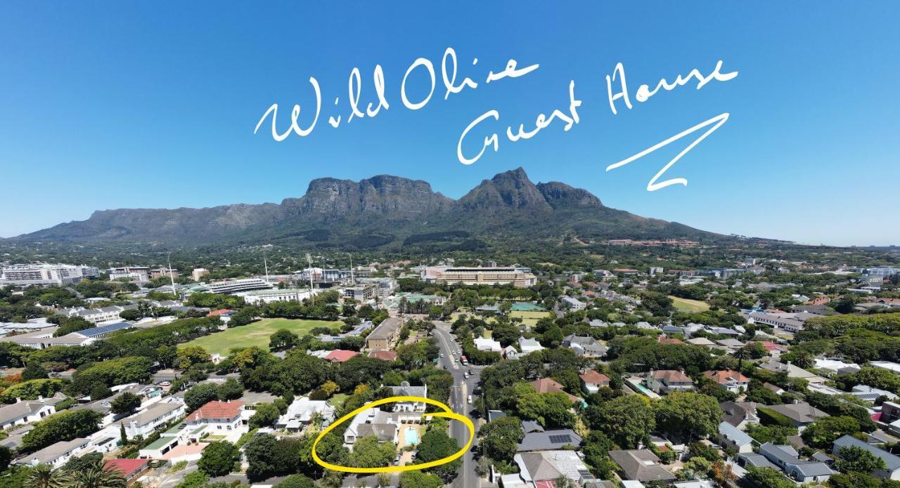 Wild Olive Guest House Cape Town Bagian luar foto