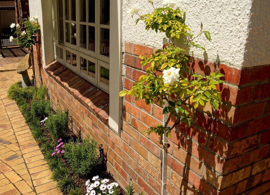 Wild Olive Guest House & Villa Cape Town Bagian luar foto