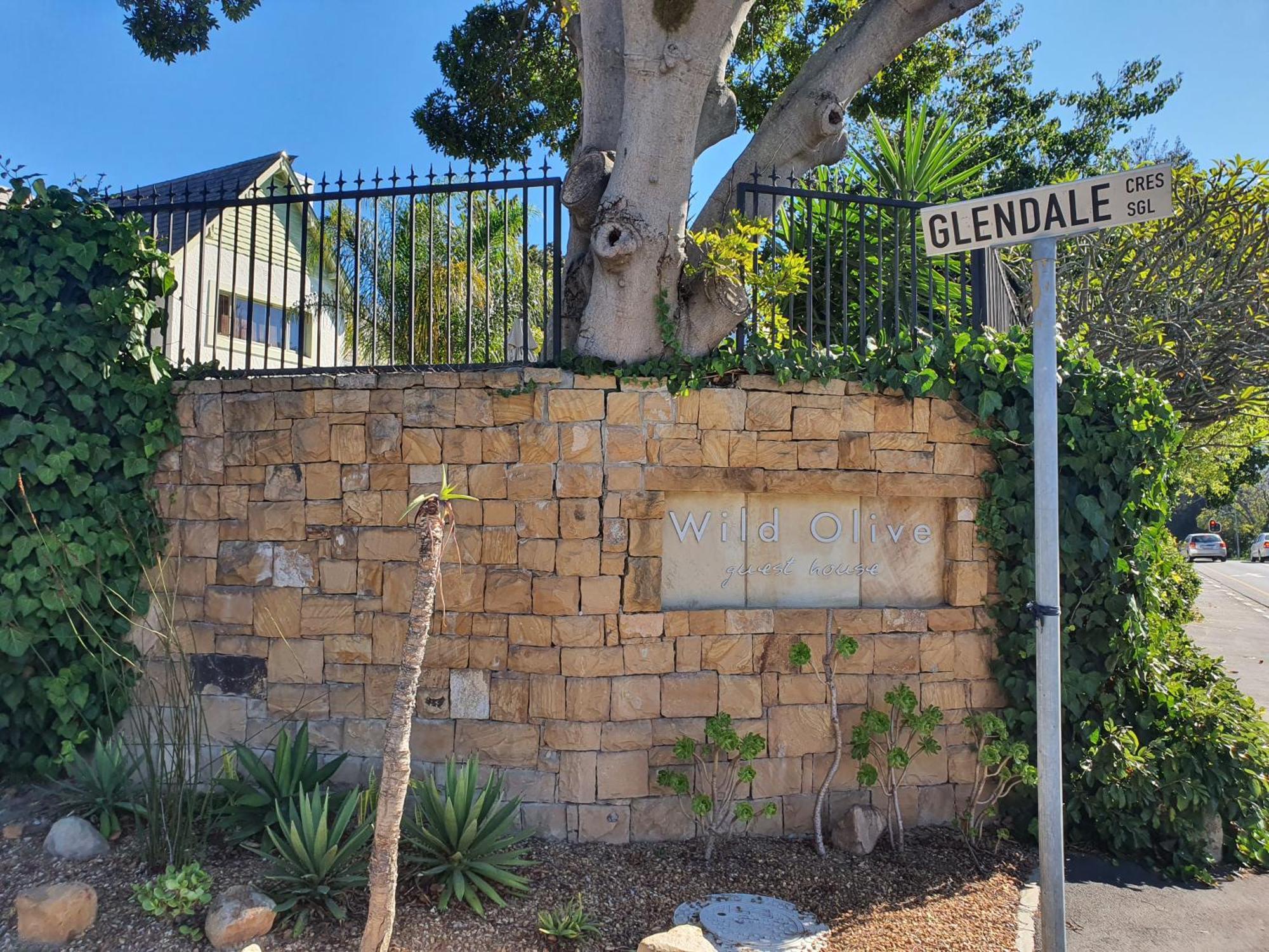 Wild Olive Guest House & Villa Cape Town Bagian luar foto