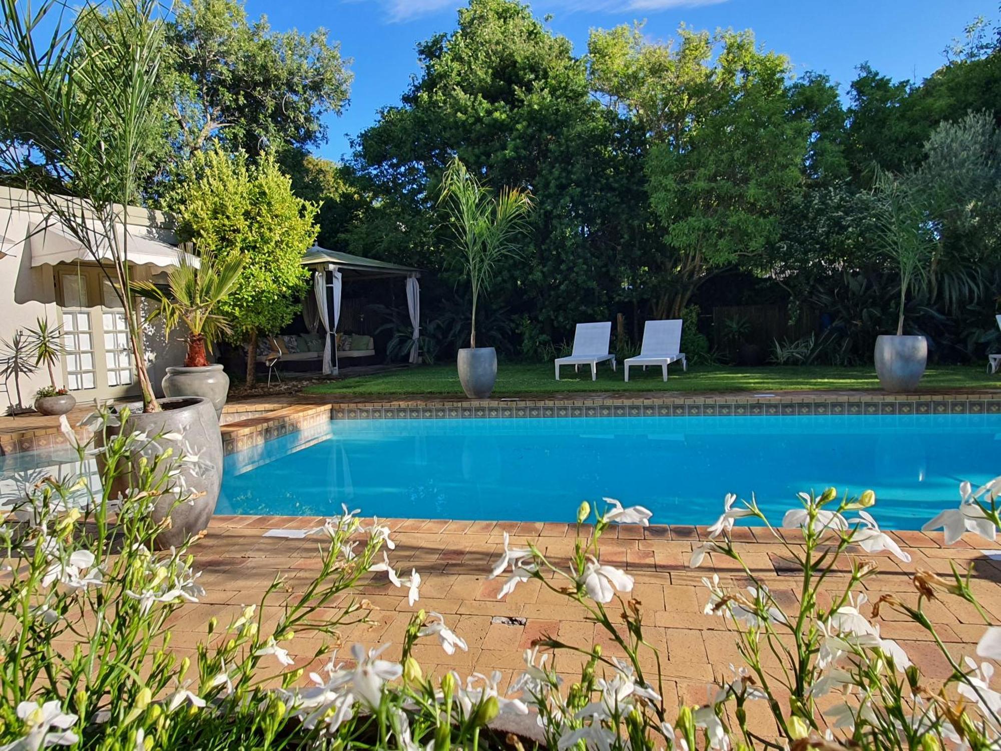 Wild Olive Guest House & Villa Cape Town Bagian luar foto