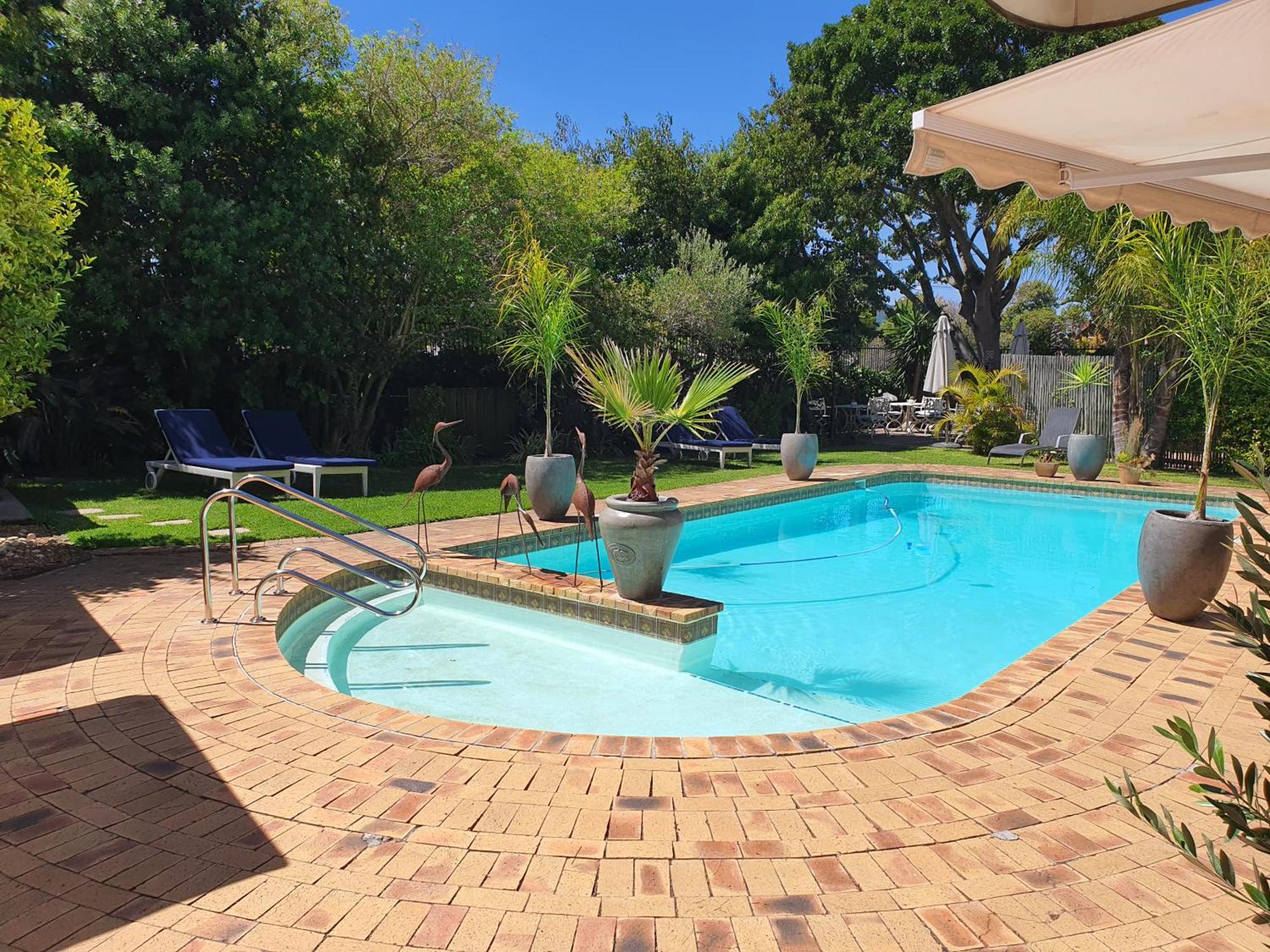 Wild Olive Guest House & Villa Cape Town Bagian luar foto