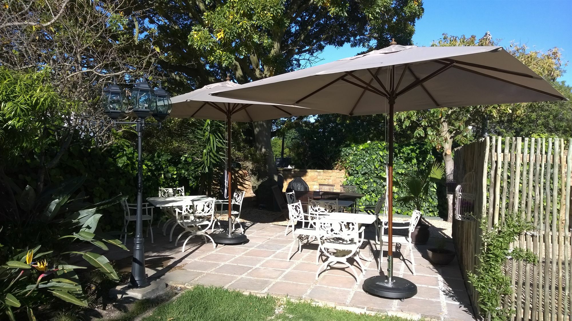 Wild Olive Guest House & Villa Cape Town Bagian luar foto